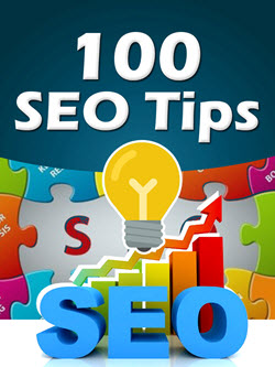 PLR For WordPress vol 06 bonus 100 SEO Tips