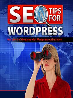 PLR For WordPress vol 06 bonus seo for WordPress