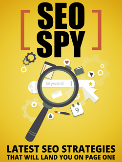 PLR For WordPress vol 06 bonus SEO Spy