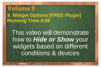 WordPress Volume 09 PLR 4 WordPress Vol 9 Video 9 Widget Options