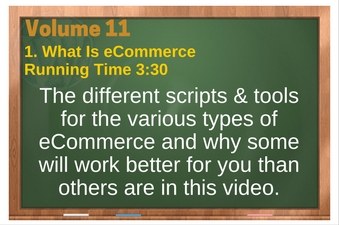 PLR 4 WordPress Vol 11 Video 1 What Is eCommerce