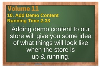PLR 4 WordPress Vol 11 Video 10 WooCommerce Add Demo Content