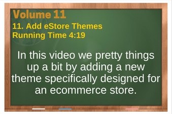 PLR 4 WordPress Vol 11 Video 11 WooCommerce Add Theme