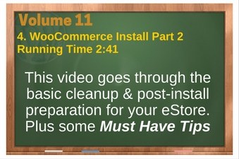 PLR 4 WordPress Vol 11 Video 4 WooCommerce Install Part 2 (WordPress Settings & Basic Cleanup)