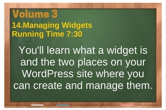 WordPress Volume 03 plr4wp Vol 3 Video 14 Managing WordPress Widgets