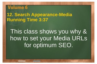 plr4wp Vol 6 Video 12 Search Appearance-Media