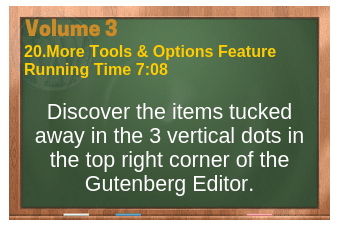 WordPress Volume 03 plr4wp Vol 3 video 20 More Tools & Options Feature