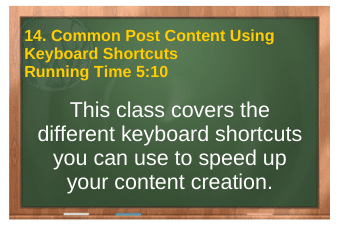 PLR4WP Volume 14 video 14. Common Post Content Using Keyboard Shortcuts