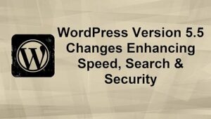 PLR4WP WordPress 5.5 Update on Speed Search and Security