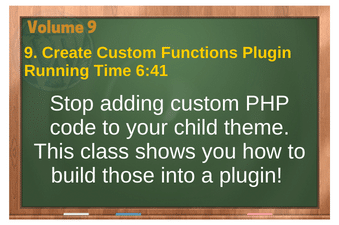 PLR 4 WordPress Vol 9 Video 9 Create Custom Functions Plugin
