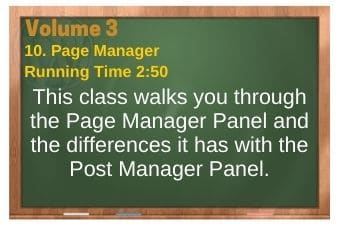 PLR4WP Volume 3 Classic Editor Video 10 Page Manager Panel