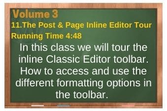 PLR4WP Volume 3 Classic Editor Video 11 Inline Editor Tour