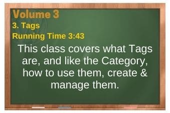 PLR4WP Volume 3 Classic Editor Video 3 Tags